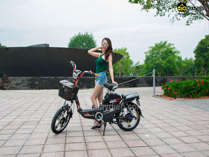 Xe đạp điện Nijia nhập khẩu Vĩnh Phúc  