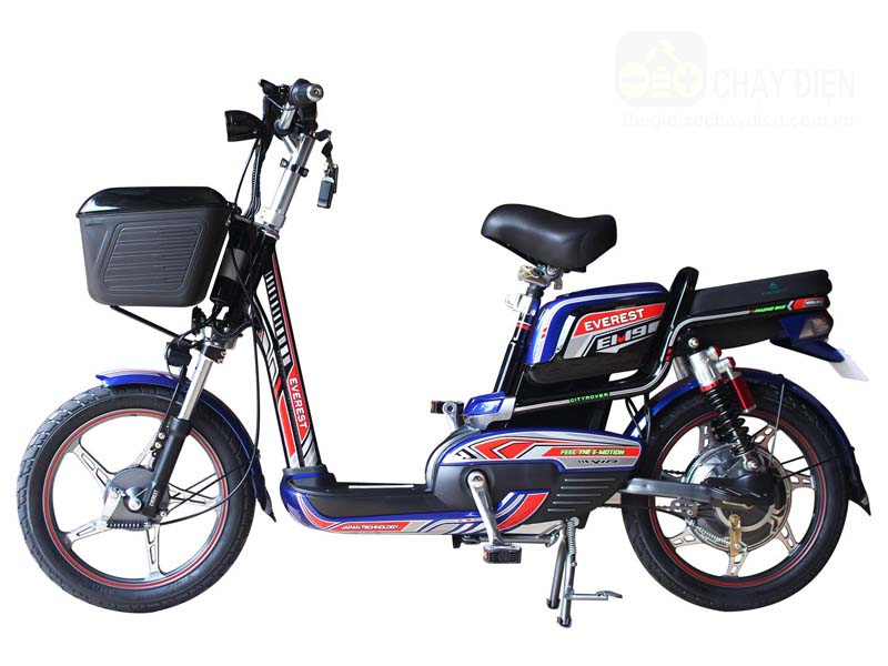 Ắc quy xe đạp điện Everest Hưng Yên đẹp Ắc quy xe đạp điện Everest Hưng Yên