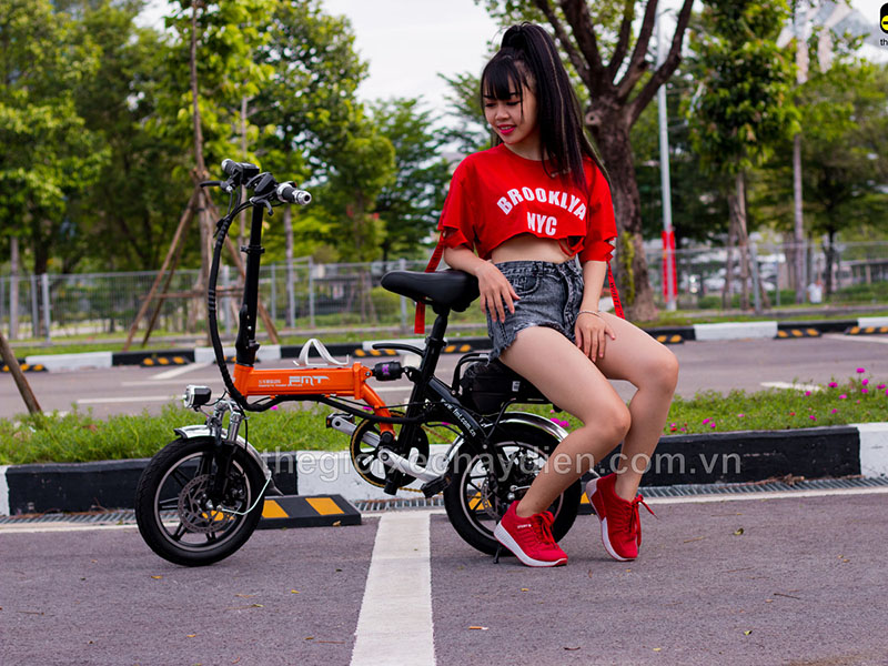 Xe đạp điện gấp FMT nhập khẩu Lâm Đồng ổn Xe đạp điện gấp FMT nhập khẩu Lâm Đồng