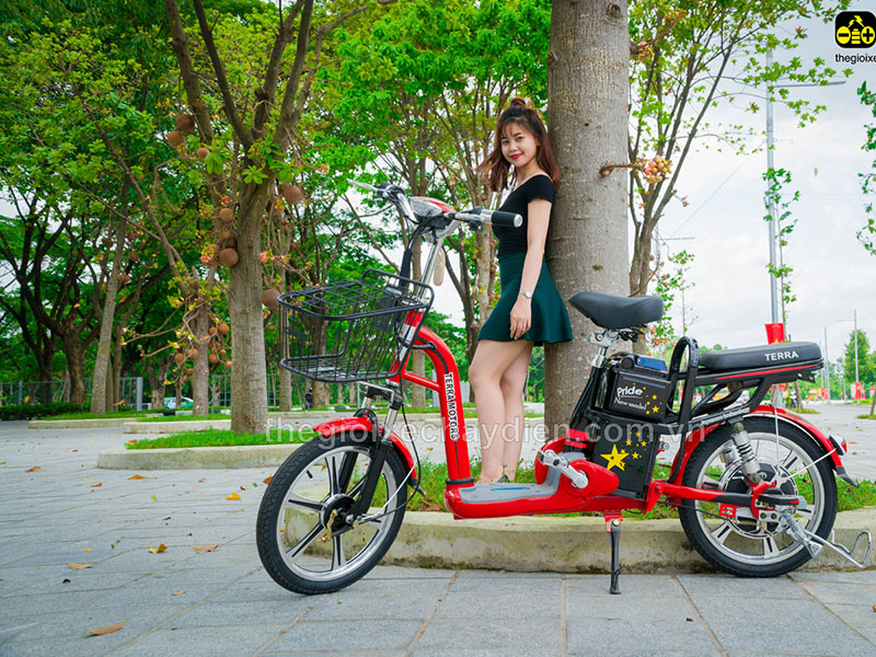Phụ tùng xe đạp điện Terra Motors Bắc Ninh