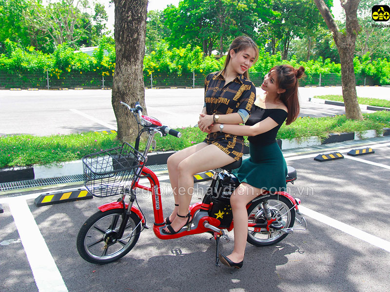 Ắc quy xe đạp điện Terra Motors Hà Đông