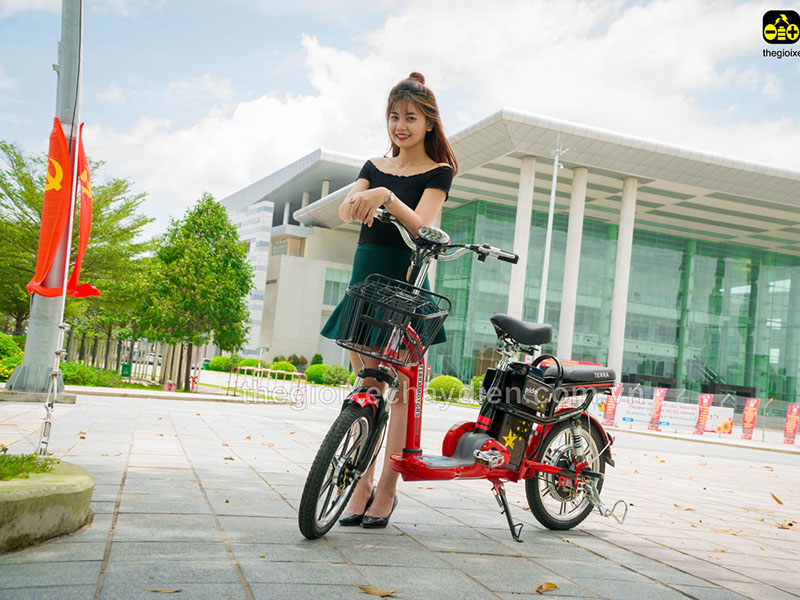 Ắc quy xe đạp điện Terra Motors Đống Đa