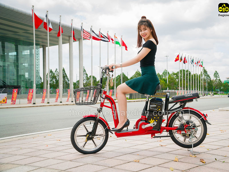 Phụ tùng xe đạp điện Terra Motors Lào Cai 