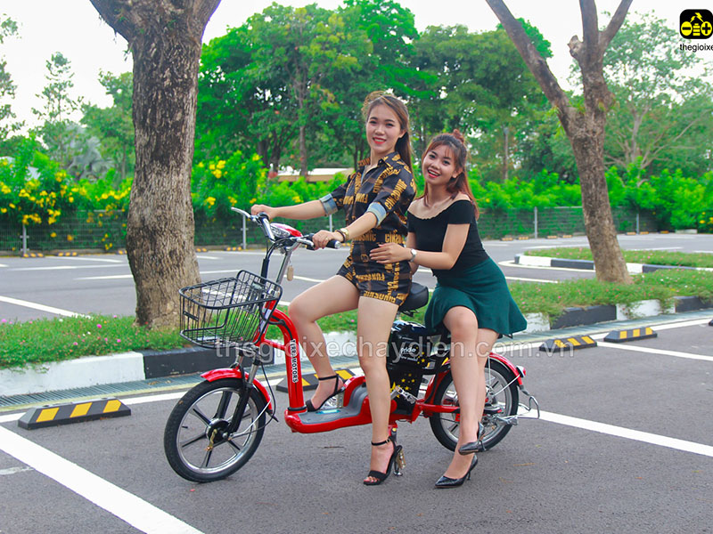 Ắc quy xe đạp điện Terra Motors Yên Bái