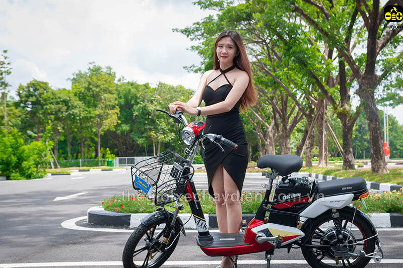 Xe đạp điện Đào Khôi Dkbike nhập khẩu Tiền Giang 