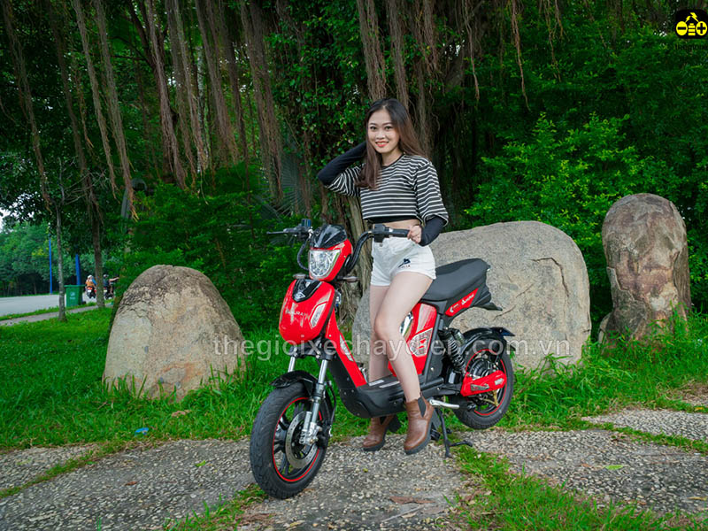 Xe đạp điện Đào Khôi Dkbike nhập khẩu Hoàn Kiếm tốt Xe đạp điện Đào Khôi Dkbike nhập khẩu Hoàn Kiếm
