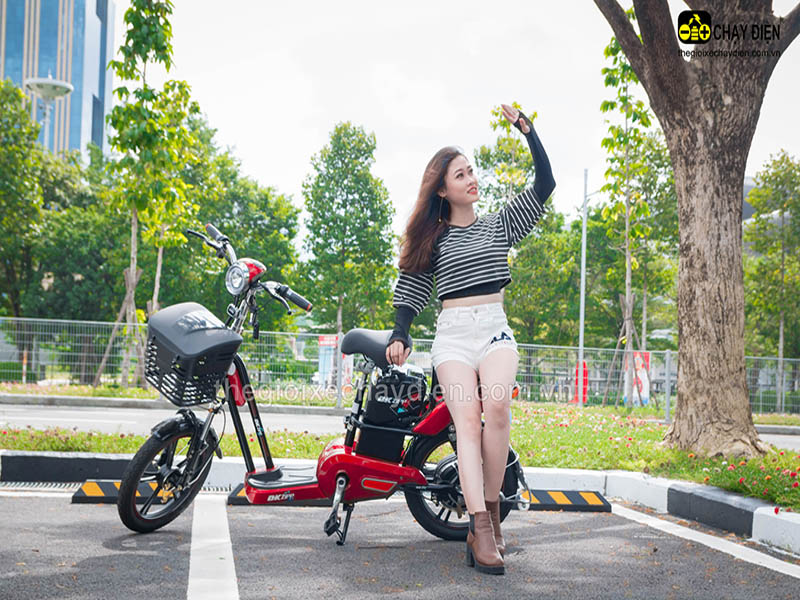 Xe đạp điện Đào Khôi Dkbike nhập khẩu Nam Định đẹp Xe đạp điện Đào Khôi Dkbike nhập khẩu Nam Định