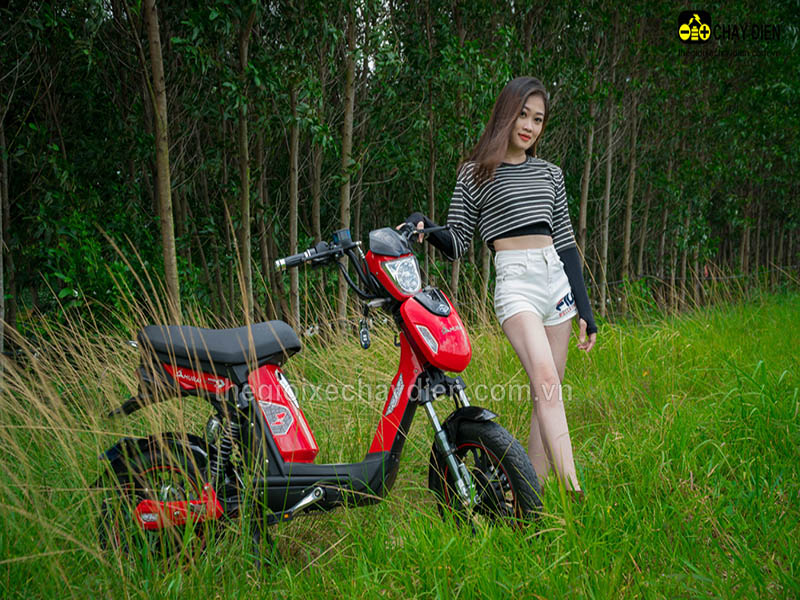 Xe đạp điện Đào Khôi Dkbike nhập khẩu Hoàn Kiếm rẻ Xe đạp điện Đào Khôi Dkbike nhập khẩu Hoàn Kiếm
