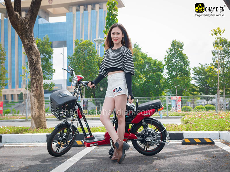 Xe đạp điện Đào Khôi Dkbike nhập khẩu Bắc Giang đẹp Xe đạp điện Đào Khôi Dkbike nhập khẩu Bắc Giang
