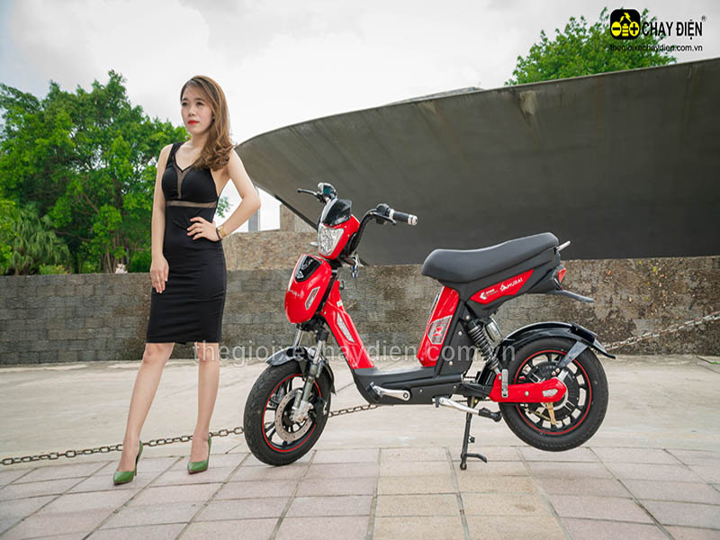 Xe đạp điện Đào Khôi Dkbike nhập khẩu Hoàng Mai rẻ Xe đạp điện Đào Khôi Dkbike nhập khẩu Hoàng Mai