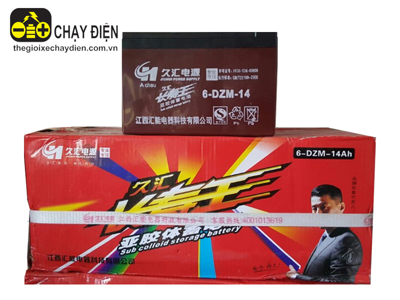 Ắc quy xe đạp điện Alpha Lai Châu đẹp Ắc quy xe đạp điện Alpha Lai Châu