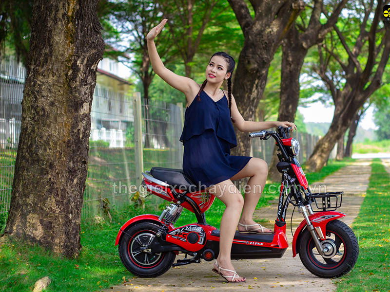 Phụ tùng xe đạp điện Alpha Cầu Giấy