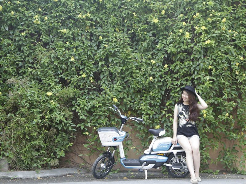 Phụ tùng xe đạp điện Ambike Hoàn Kiếm 