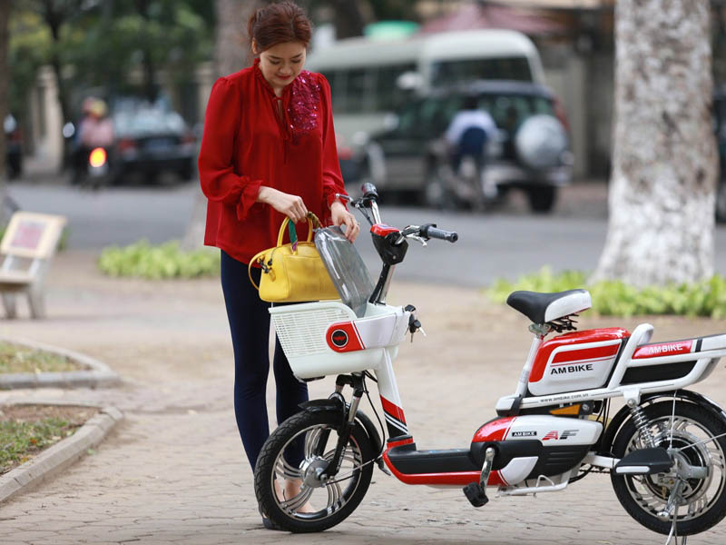 Phụ tùng xe đạp điện Ambike Hậu Giang  