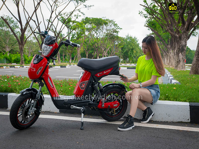 Ắc quy xe đạp điện Đào Khôi Dkbike An Giang 