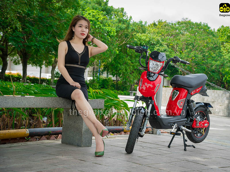Ắc quy xe đạp điện Đào Khôi Dkbike Nghệ An đẹp Ắc quy xe đạp điện Đào Khôi Dkbike Nghệ An