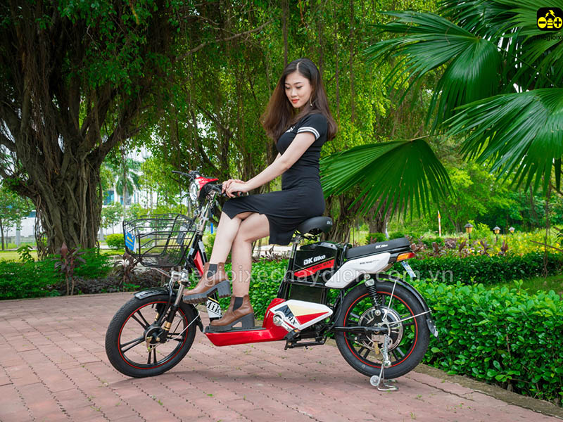 Ắc quy xe đạp điện Đào Khôi Dkbike Lâm Đồng đẹp Ắc quy xe đạp điện Đào Khôi Dkbike Lâm Đồng