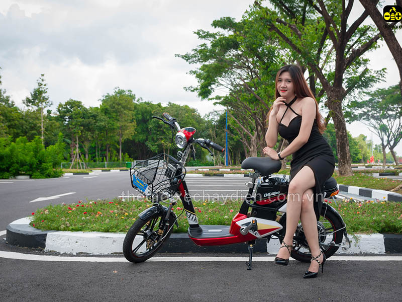Ắc quy xe đạp điện Đào Khôi Dkbike Huế 