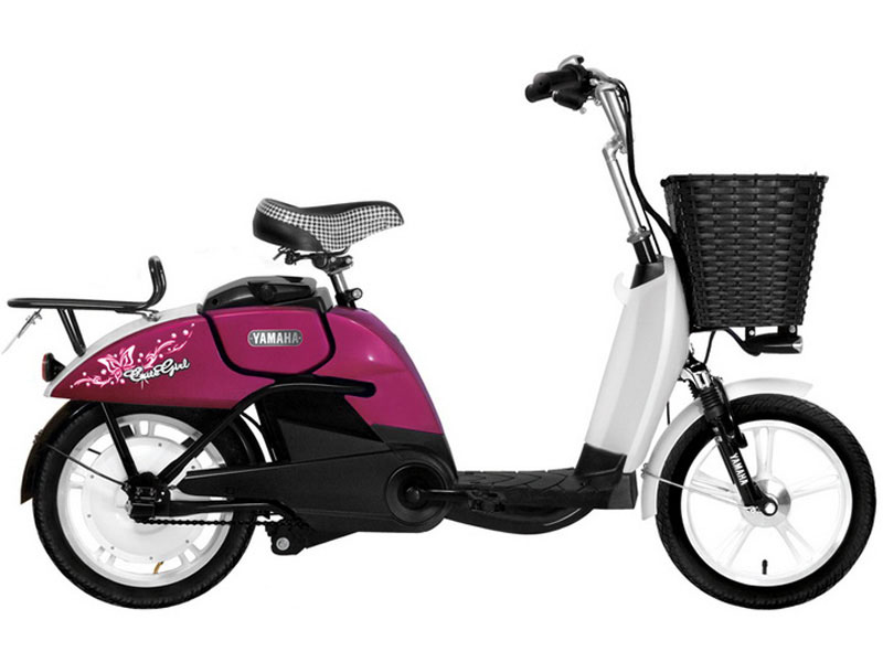 Ắc quy xe đạp điện Yamaha Hải Dương rẻ Ắc quy xe đạp điện Yamaha Hải Dương