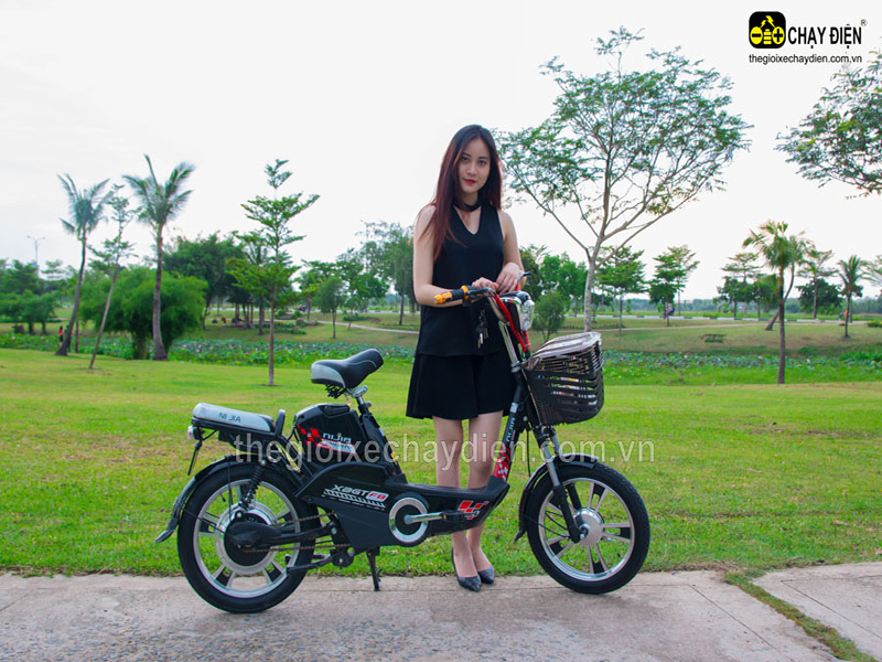 Phụ tùng xe đạp điện Nijia TP.HCM rẻ Phụ tùng xe đạp điện Nijia TP.HCM