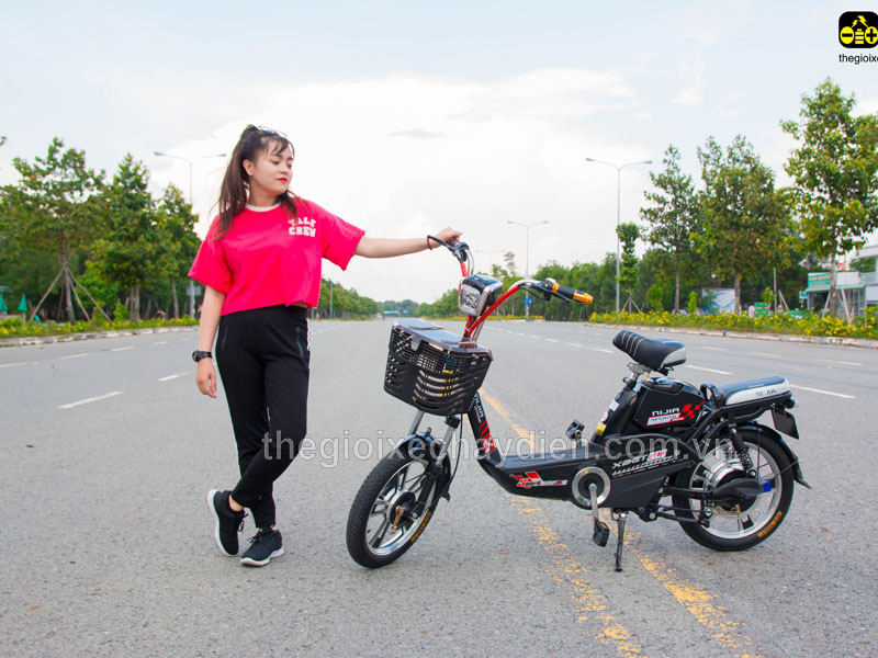 Phụ tùng xe đạp điện Nijia Tây Hồ đẹp Phụ tùng xe đạp điện Nijia Tây Hồ