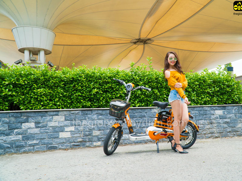 Phụ tùng xe đạp điện Nijia Lái Thiêu đẹp Phụ tùng xe đạp điện Nijia Lái Thiêu