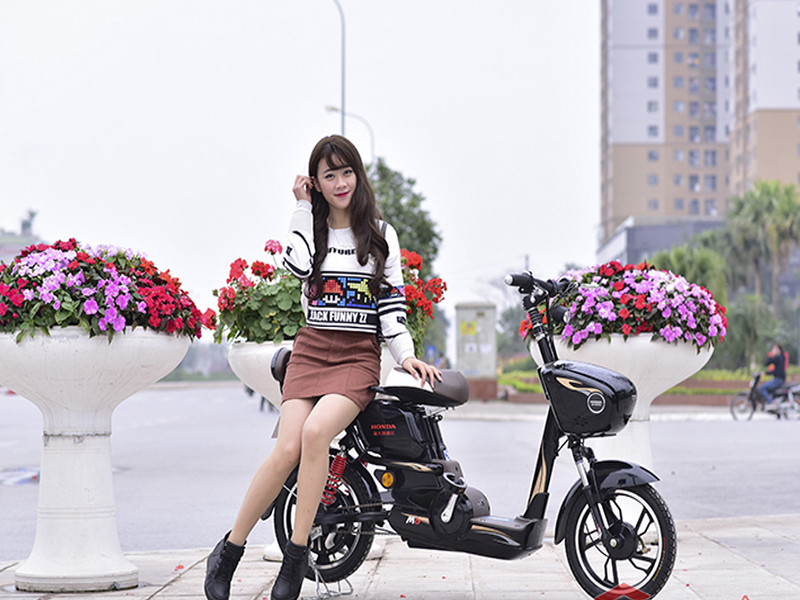 Ắc quy xe đạp điện Honda Tân Bình rẻ Ắc quy xe đạp điện Honda Tân Bình