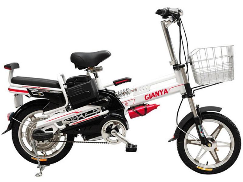 Phụ tùng xe đạp điện Gianya Vĩnh Phúc