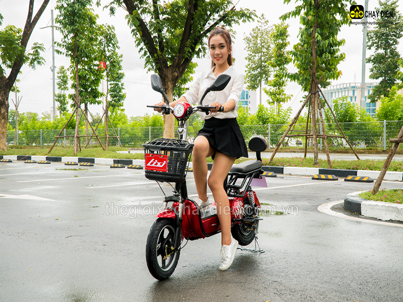 Phụ tùng xe đạp điện Lixi Cầu Giấy rẻ Phụ tùng xe đạp điện Lixi Cầu Giấy