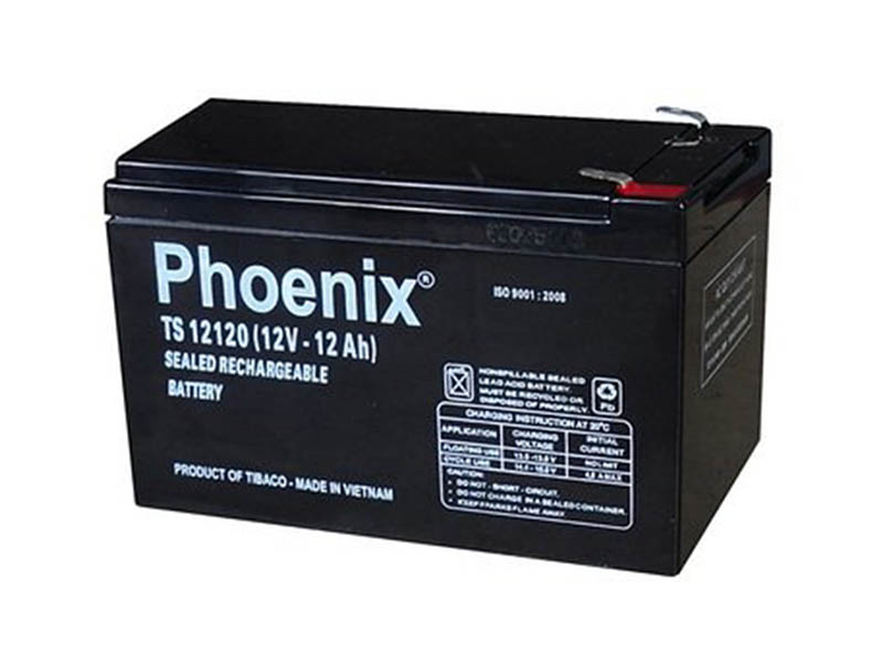 Ắc quy xe đạp điện Pega Hà Nội rẻ Ắc quy xe đạp điện Pega Hà Nội