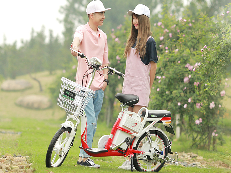 Phụ tùng xe đạp điện Pega Lâm Đồng