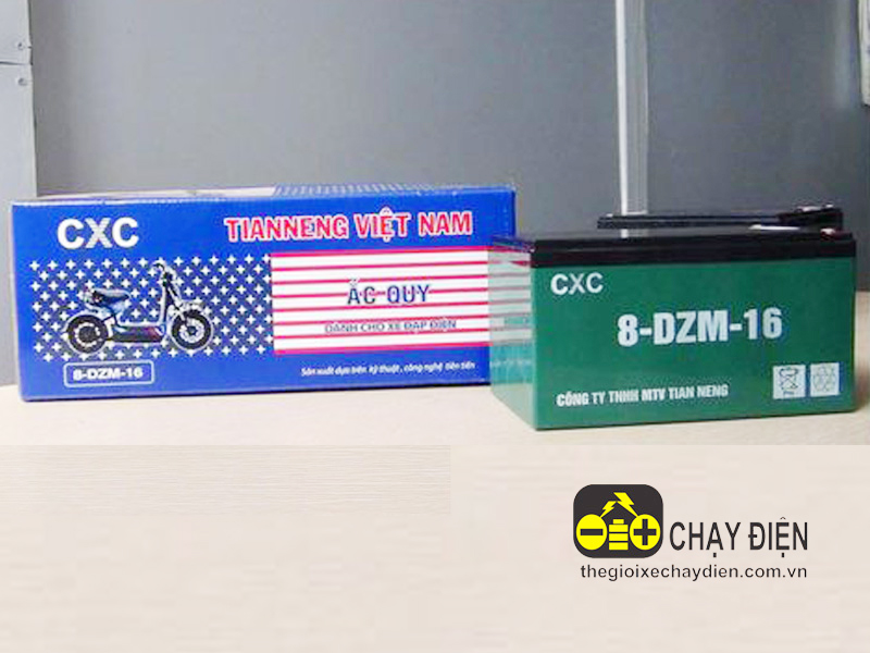Ắc quy xe đạp điện Trợ Lực TP.HCM rẻ Ắc quy xe đạp điện Trợ Lực TP.HCM