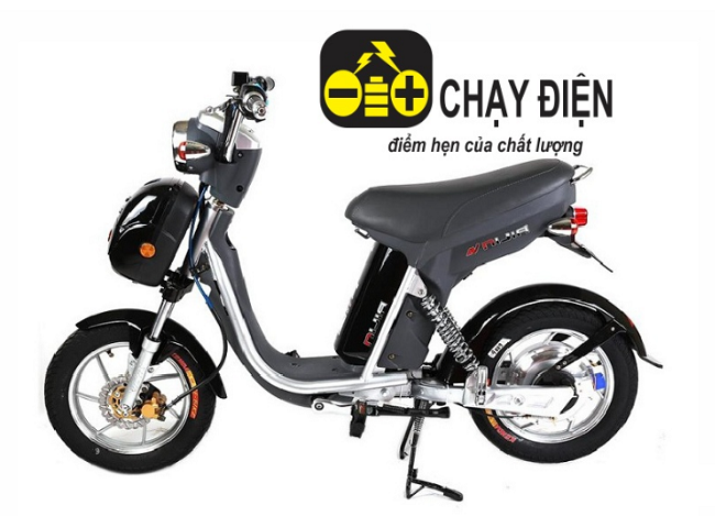 Xe đạp điện Nijia phanh đĩa đồng hồ điện tử Xe đạp điện Nijia phanh đĩa đồng hồ điện tử