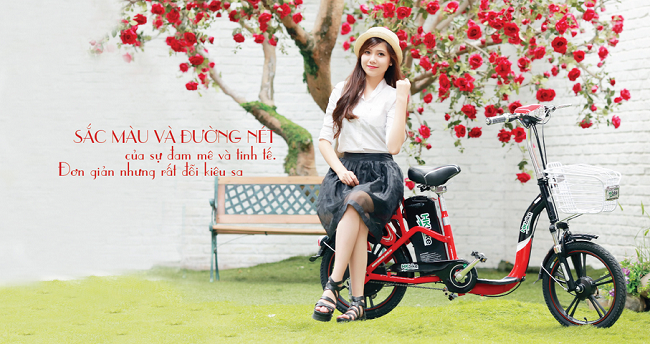 Xe đạp điện HKBike Xe đạp điện HKBike