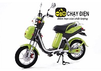 Bảng giá xe đạp điện hãng Nijia