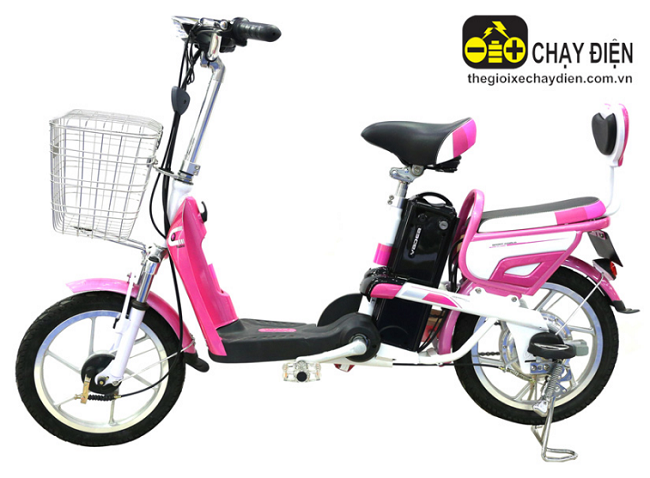 Xe đạp điện Yadea Brid A6081