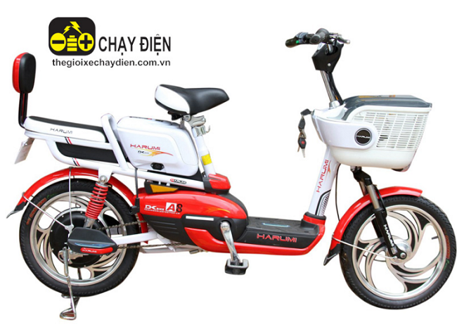Xuất xứ xe đạp điện Đào Khôi DkBike Xuất xứ xe đạp điện Đào Khôi DkBike