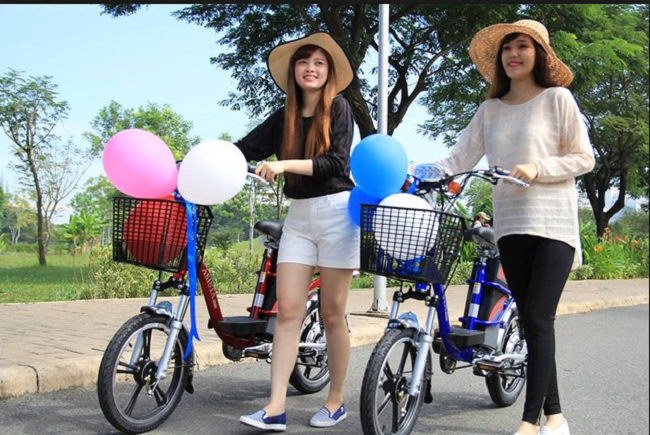 Xe đạp điện nội địa Asista Bmm Xe đạp điện nội địa Asista Bmm