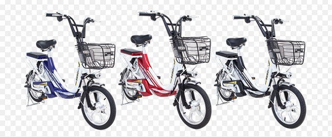 Xe đạp điện Terra Motors S250 Xe đạp điện Terra Motors S250