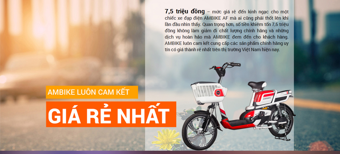 Xe đạp điện Ambike AF