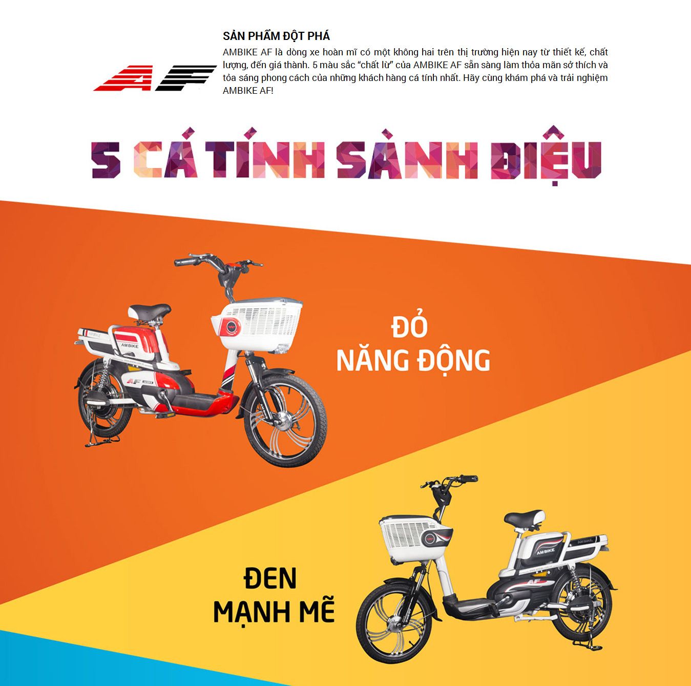 Xe đạp điện Ambike AF