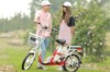 Xe đạp điện Hkbike Zinger Color 2