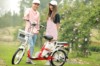 Xe đạp điện Hkbike Zinger Color 2