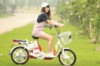 Xe đạp điện Hkbike Zinger Color 2