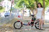 Xe đạp điện Ngọc Hà N3