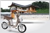 Xe đạp điện iTrend Hkbike