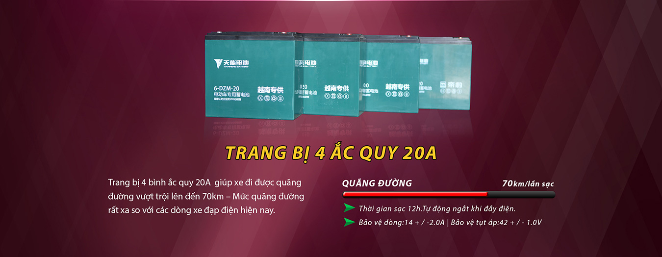 Xe đạp điện Nijia S 20A