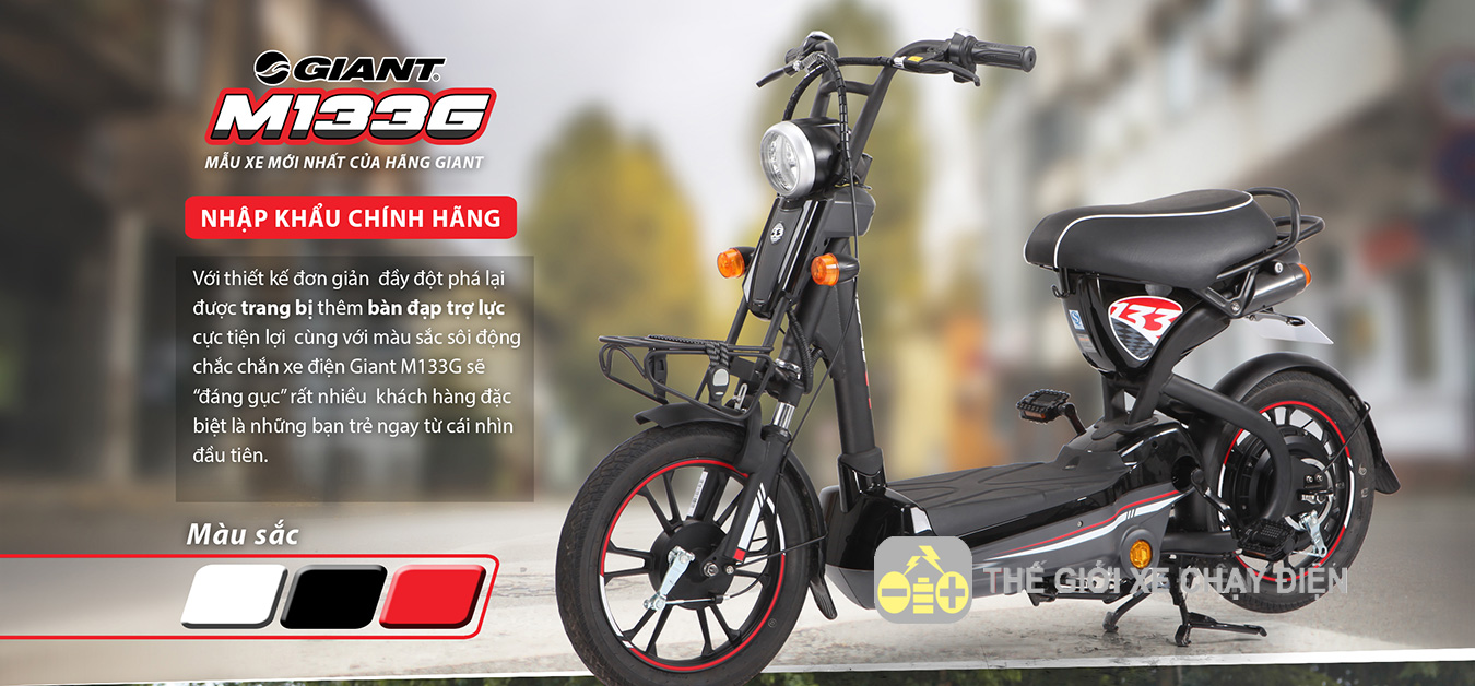 Xe đạp điện Giant M133G