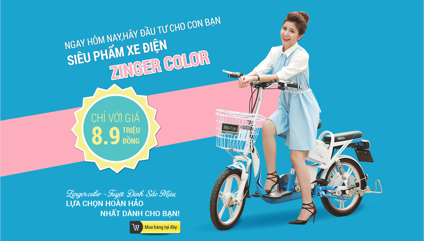 Xe đạp điện Hkbike Zinger Color