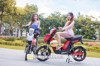 Xe đạp điện Dkbike Samurai